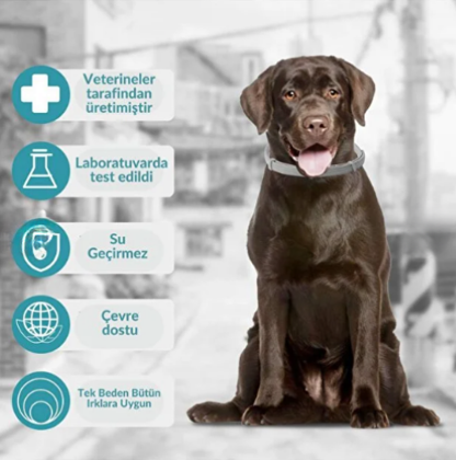 12 Aylık Pire ve Kene Kalkanı