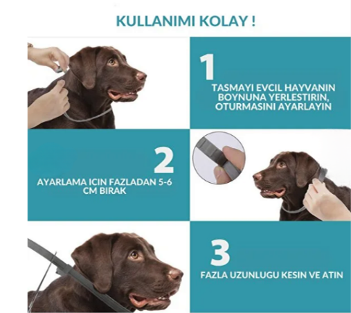 12 Aylık Pire ve Kene Kalkanı